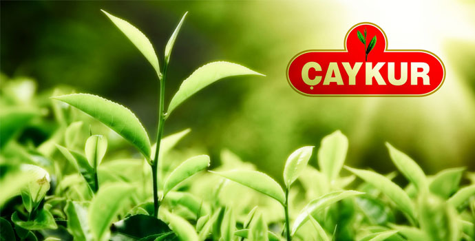 Çaykur bin 500 mevsimlik işçi alacak