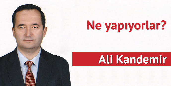 Ne yapıyorlar?