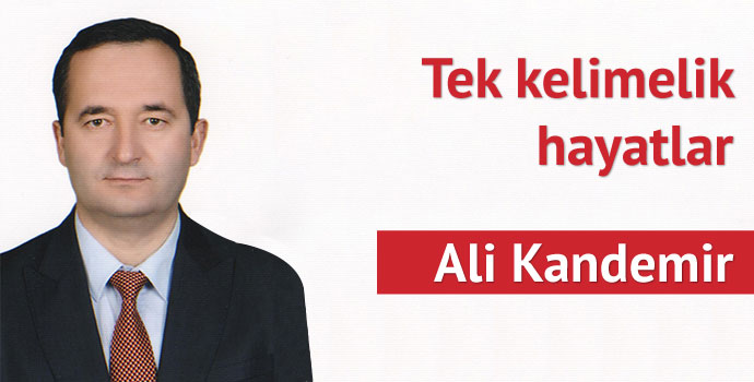 Tek kelimelik hayatlar