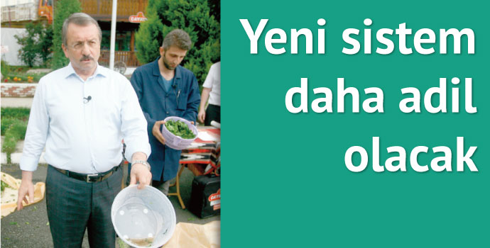 Yaş çay alımında kurutma dönemi başlıyor